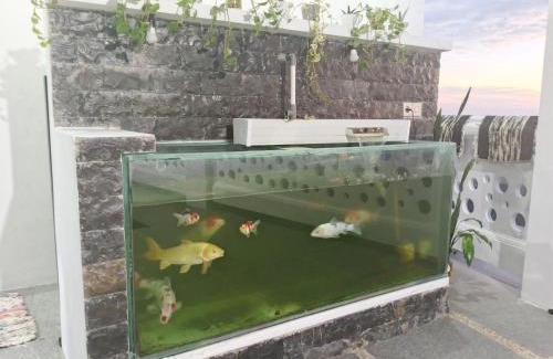 Dieng Kulon Villa | Titik Senja Villa Dieng