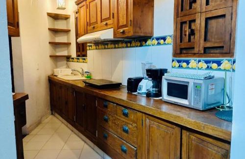 Coyoacán Apartamento | Tizapan 02 NEW 1BE&1BA
