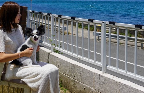 Awaji Casa | TizwanOcean viewPrivatePets allowedBBQ in the / Awaji Hyōgo