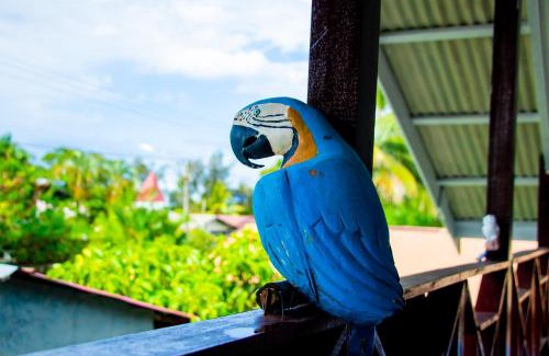 Paramaribo Cama Y Desayuno | TJ Comfort Villa Suriname