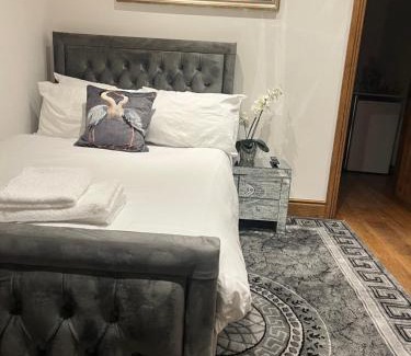 Manor Cama Y Desayuno | TJ Homes - Luxury Studio Suite with Garden View - Next to tube station London