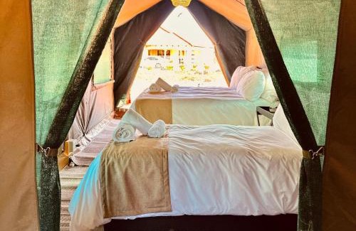 Pilanesberg National Park Otro | Tlou Tribal Lodge