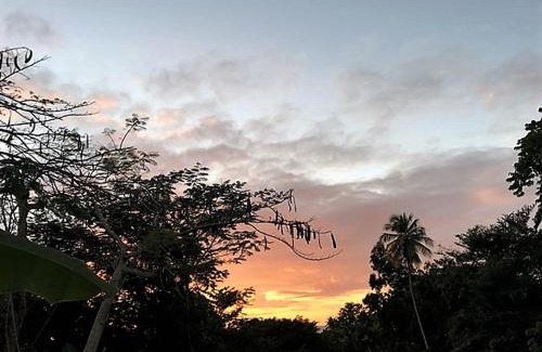 Bethel Apartamento | Tobago Hibiscus Golf Villas & Appartments