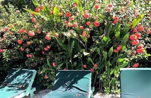 Bethel Apartamento | Tobago Hibiscus Golf Villas & Appartments