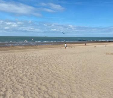 Heist Apartamento | Tof en ruim appartement op 50 meter van strand!