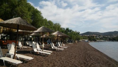 Nea Anchialos Hotel | Tokalis Boutique Hotel & Spa