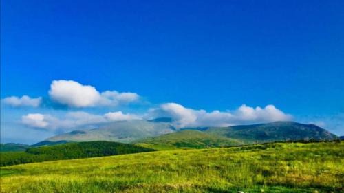 Newry Cabina | Tollymore Luxury log cabins