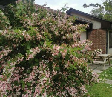 Saint Erth Praze Apartamento | Tolroy manor holiday cottage