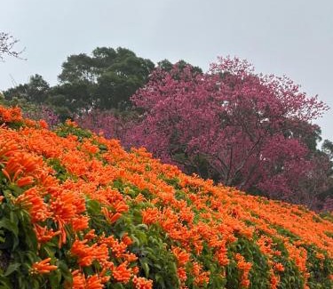 Gongguan Casa | Tong Xin Farmstay