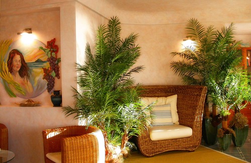 Ricadi Hotel | TONICELLO Hotel Resort & SPA