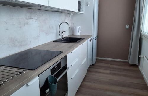Turku Apartamento | Top floor studio, free parking