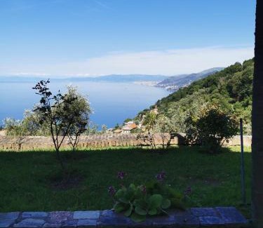 Recco Apartamento | Top Hill Genoa