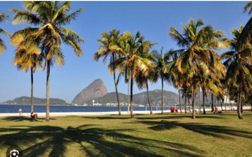 Laranjeiras Apartamento | Top location at Flamengo-Rio de Janeiro