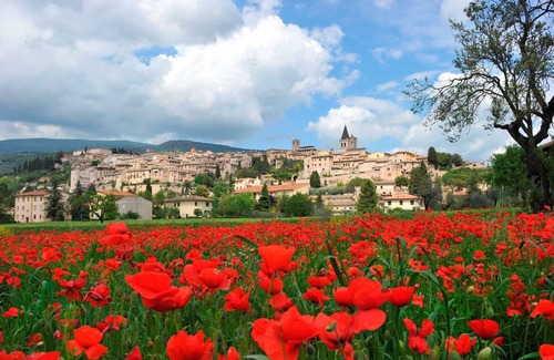 Spello Apartamento | Topaz Apt City Center