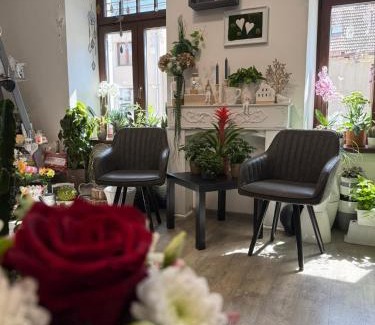 Mikulov Apartamento | Topinambur Apartmány
