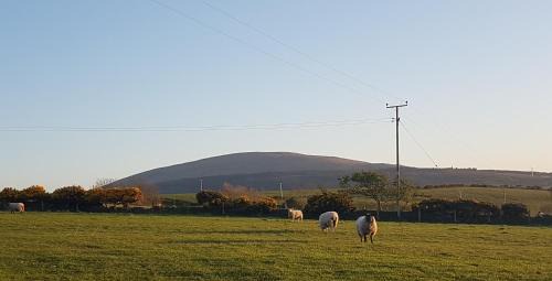 Ballycastle Casa | Tornabodagh House