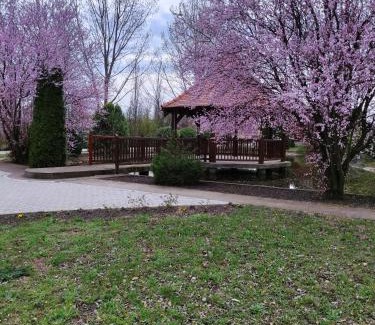 Central Banat District Apartamento | Torontal