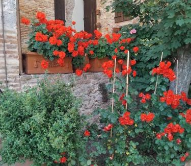 Montepulciano Apartamento | Torre alle Antiche Mura