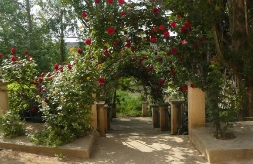 Ainzon Cabaña | Casa rural Torre de Campos para 2 personas