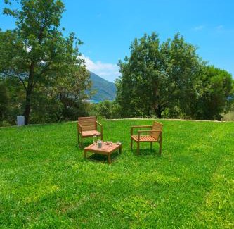 Torraca Cama Y Desayuno | Torre de Jaco - Wellness Inn