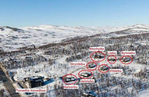 Nore og Uvdal Complejo | Torsetlia Cottages and Apartments