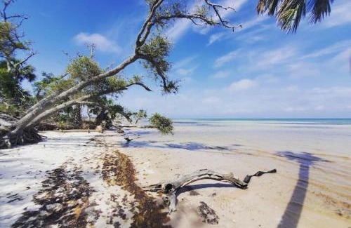 Cape San Blas Casa | Tortuga Tillys