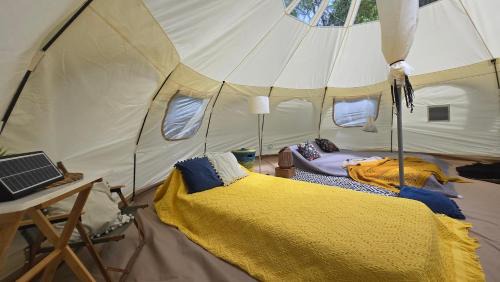 Mongolia Cama Y Desayuno | Tosontsengel Glamping Tents