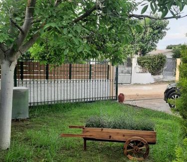 Katakolo Casa | Tota's Family House