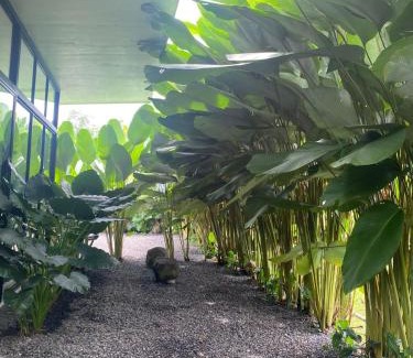 Peñas Blancas Villa | Toucan home