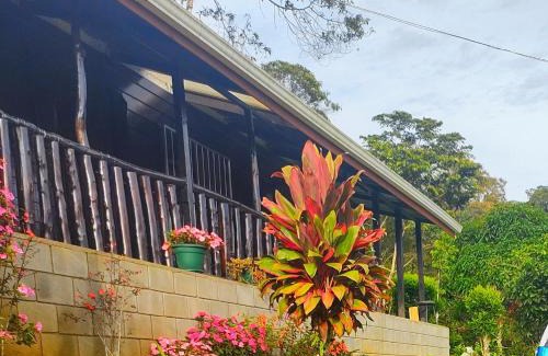 Tayutic Cama Y Desayuno | Toucan Mountain Rest