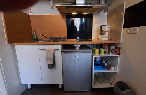 Montastruc-la-Conseillere Apartamento | Toulouse 15 min 4 people quiet 3 bed apartment