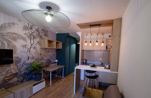 Compans-Caffarelli Apartamento | Toulouse Centre Tbs School Jardín Japonés