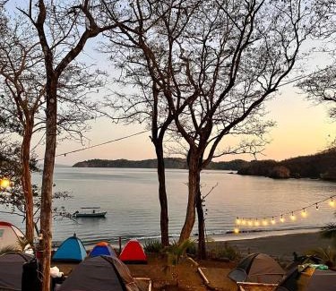 Cerro Plano Otro | Tour de Bioluminisciencia con Camping