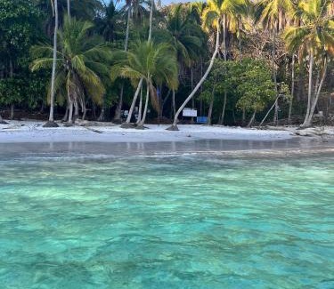Cerro Plano Otro | Tour de Bioluminisciencia con Camping
