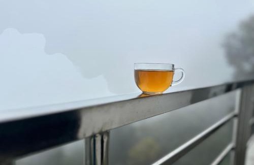 Mirik Casa | Tourbix Mirik