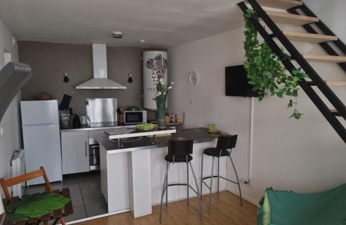 Tournus Apartamento | Tournus Castrum Romain - Duplex 54 m2 - 3 Étoiles - petit box vélo - 5mn Autoroute