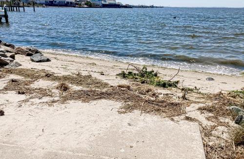 Seabreeze Casa | Town of Dewey Beach - 309 Salisbury