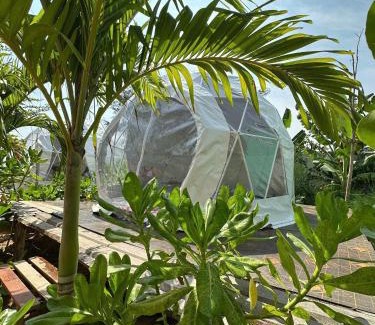 Phan Thiet Cabina | TP-HOMES PHAN THIẾT