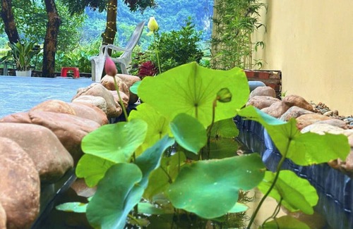 Hoa Lu Apartamento | Tràng An Sunny Homestay