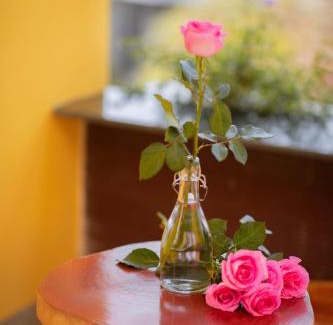 Thuy Xuan Casa | Trú Homestay Huế