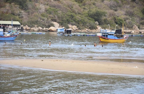 Ninh Hai Casa | Trúc Nguyên - Vĩnh Hy Homestay
