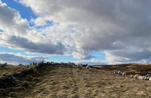 Murthly Cabaña | Traditional Bothy Accommodation