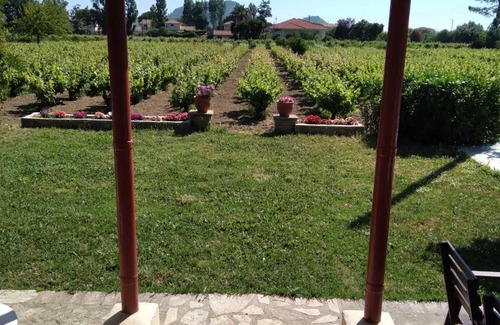 Zakynthos Cabaña | Traditional Country House for 5 in Zakynthos