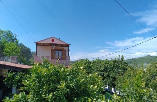 Vation Casa | Traditional Thea Home