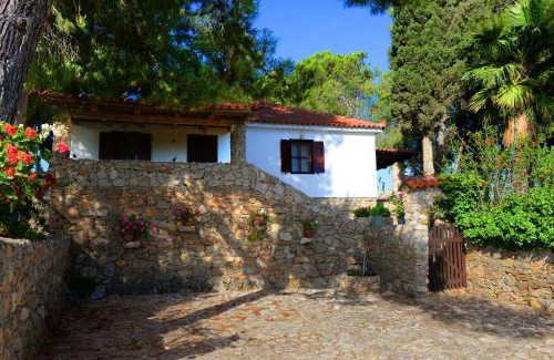 Tragana Apartamento | Traganitsa
