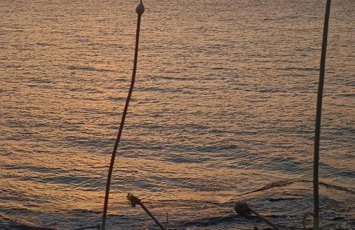 Castelsardo Casa | Tramontana