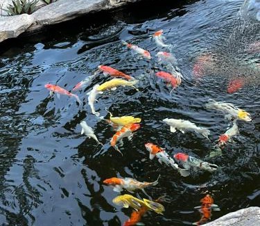 Hoa Lu Casa | Trang An Haven & Tranquil Homestay