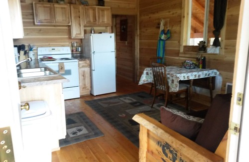 Fruitland Cabina | Acogedora cabaña privada con vista al lago Roosevelt!