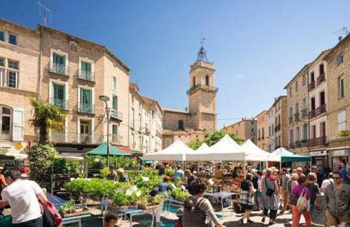Pezenas Apartamento | Tranquil apt with patio, Pézenas historic centre