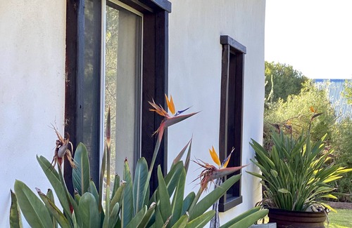 Dunsborough Casa | Tranquil & beautifully decorated new 1BR cottage central to Dunsborough